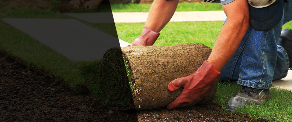 New Ipswich Landscapers